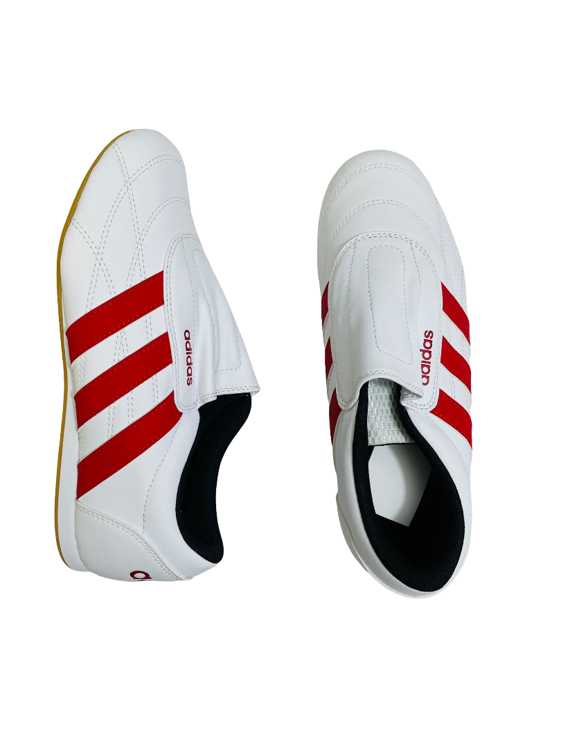 Zapatos Dama