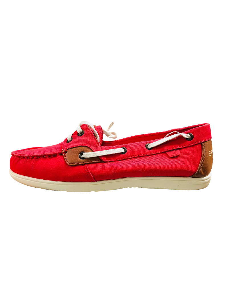 Zapatos Dama