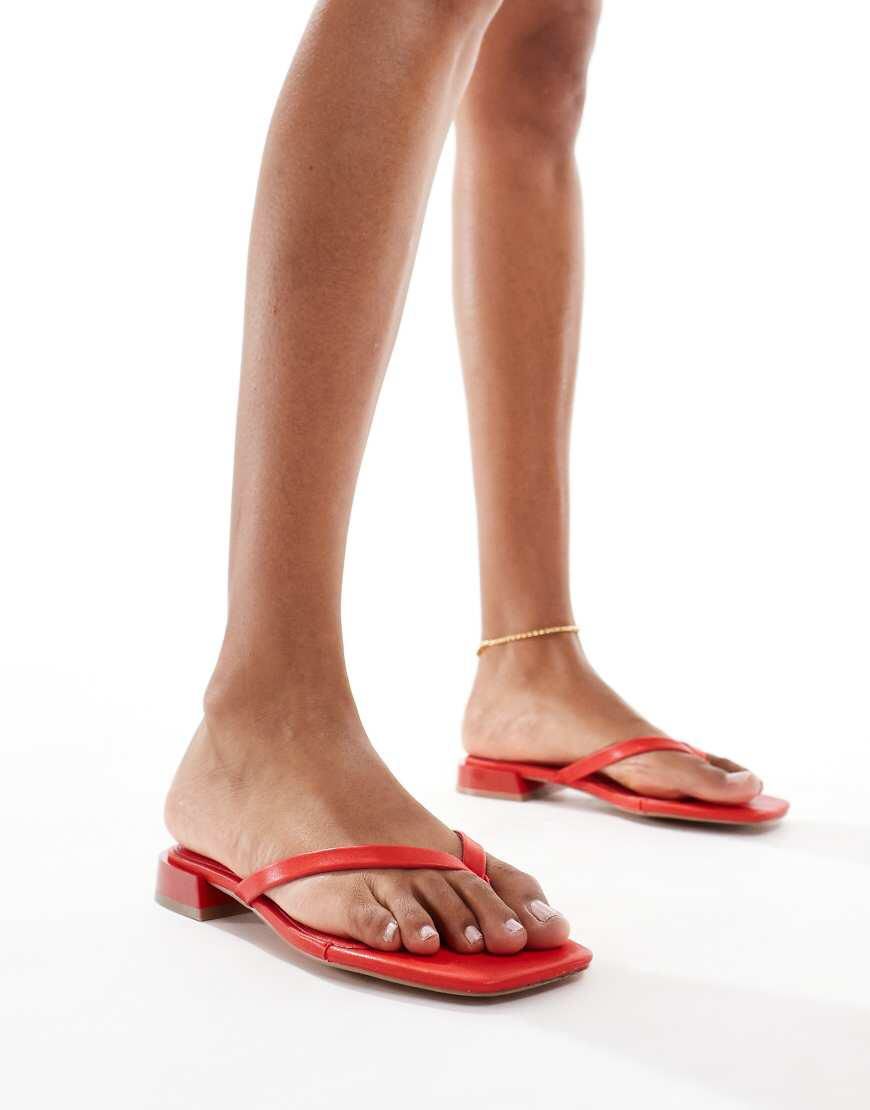 Zapatos Dama