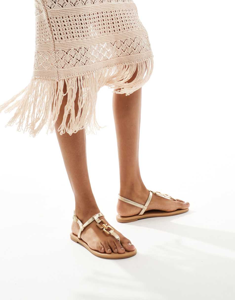 Zapatos Dama