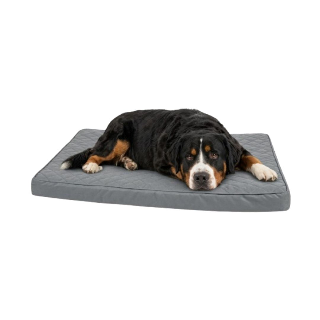 Cama para perros reversible
